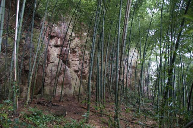 A photo of The Lower 40's crag.